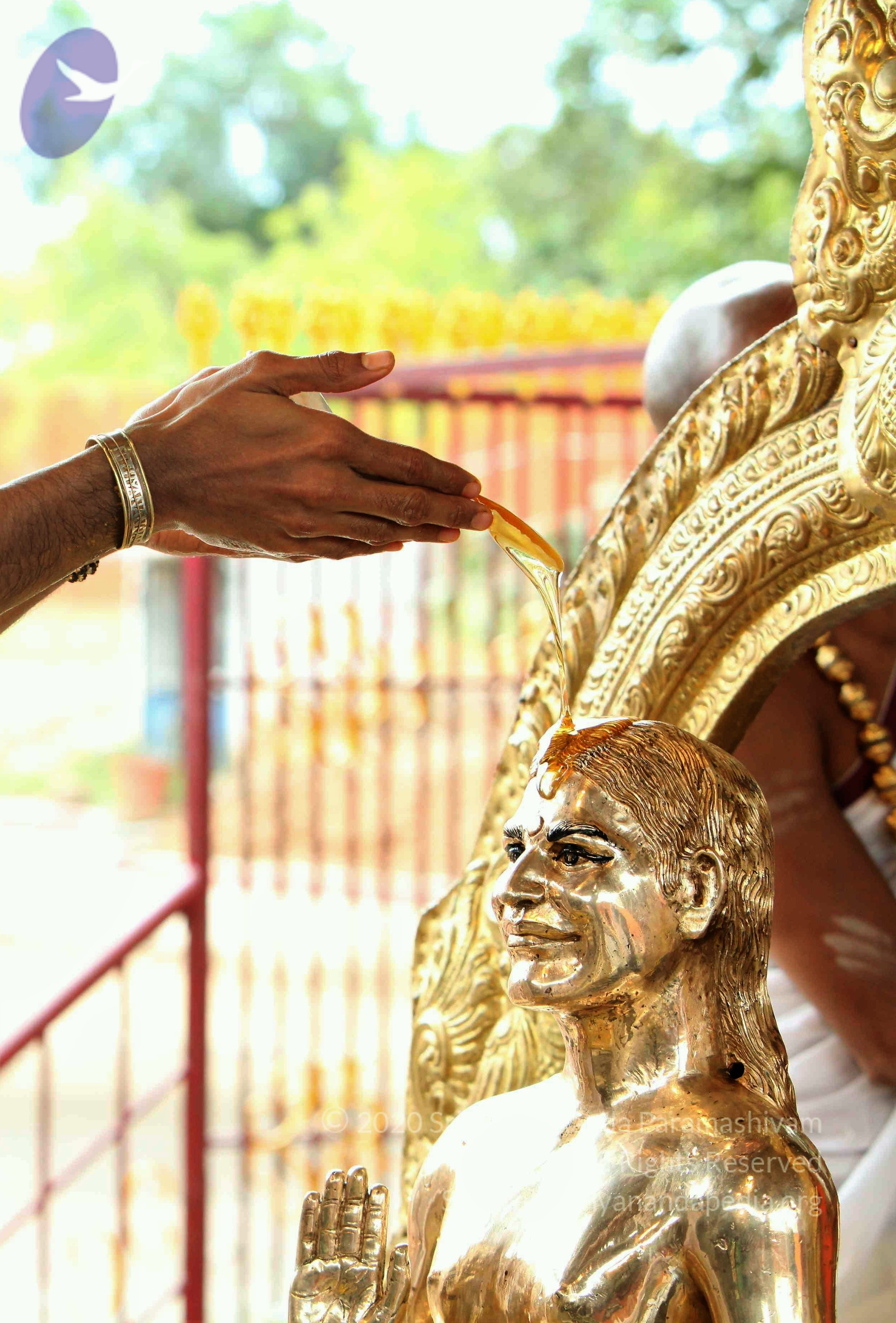 20110919_Photo_1012_IMG_9622_CMP_WM Done